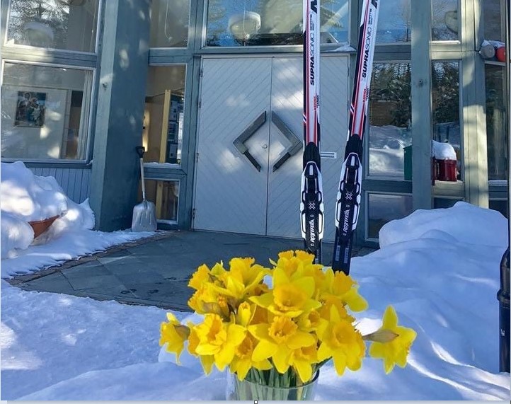 Påskeliljer og ski foran kirkedøra